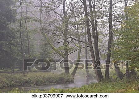 Stock Photo - "River in autumn in Kirnischtal valley, Saxon Switzerland, Ottendorf, Saxony, Germany, Europe". Fotosearch