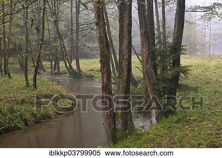 "River in autumn in Kirnischtal valley, Saxon Switzerland, Ottendorf, Saxony, Germany, Europe" View Large Photo Image Stock Photography - "River in autumn in Kirnischtal valley, Saxon Switzerland, Ottendorf, Saxony, Germany, Europe". Fotosearch