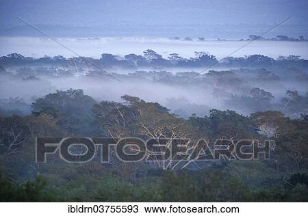 "River landscape in the southern Kruger National Park, Kruger National Park, Skukuza, South Africa, Africa" View Large Photo Image Stock Image - "River landscape in the southern Kruger National Park, Kruger National Park, Skukuza, South Africa, Africa". Fotosearch