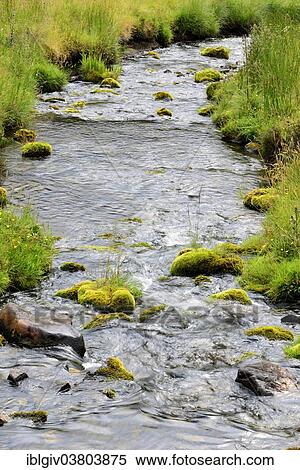 "River landscape, Moray, Grampian, Scotland, United Kingdom, Europe" View Large Photo Image Stock Photography - "River landscape, Moray, Grampian, Scotland, United Kingdom, Europe". Fotosearch