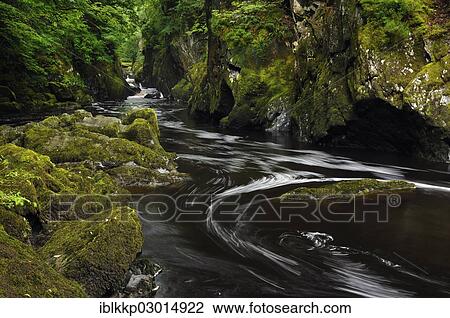 "River Llugwy or Afon Llugwy, Fairy Glen Gorge, Betws-y-Coed, Wales, United Kingdom, Europe" View Large Photo Image Stock Image - "River Llugwy or Afon Llugwy, Fairy Glen Gorge, Betws-y-Coed, Wales, United Kingdom, Europe". Fotosearch