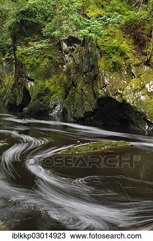 "River Llugwy or Afon Llugwy, Fairy Glen Gorge, Betws-y-Coed, Wales, United Kingdom, Europe" View Large Photo Image Stock Image - "River Llugwy or Afon Llugwy, Fairy Glen Gorge, Betws-y-Coed, Wales, United Kingdom, Europe". Fotosearch