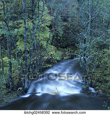 "River on plateau of Cezallier, Parc Naturel Regional des Volcans d'Auvergne, Natural regional park of Volcans d'Auvergne, Cantal, Auvergne, France, Europe" View Large Photo Image Stock Image - "River on plateau of Cezallier, Parc Naturel Regional des Volcans d'Auvergne, Natural regional park of Volcans d'Auvergne, Cantal, Auvergne, France, Europe". Fotosearch