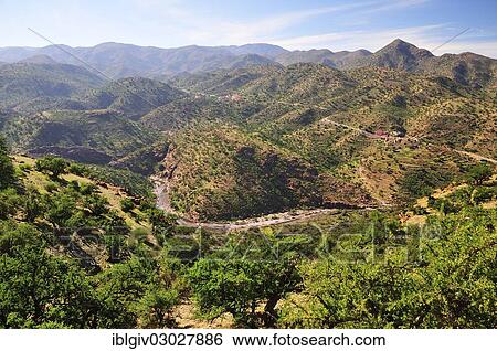 "River valley in the Anti-Atlas Mountains, hills with Argan Trees (Argania spinosa), Anti-Atlas, Souss-Massa-Draa region, Morocco, Africa" View Large Photo Image Stock Photograph - "River valley in the Anti-Atlas Mountains, hills with Argan Trees (Argania spinosa), Anti-Atlas, Souss-Massa-Draa region, Morocco, Africa". Fotosearch