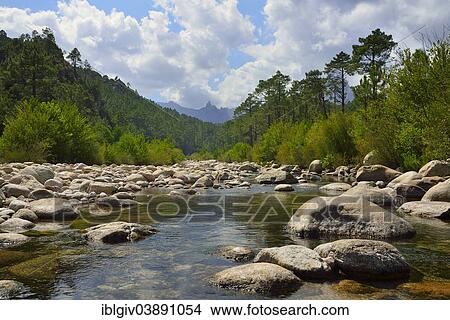 "Riverbed of the Solenzara River in the Aiguilles de Bavella, Corsica, France, Europe" View Large Photo Image Picture - "Riverbed of the Solenzara River in the Aiguilles de Bavella, Corsica, France, Europe". Fotosearch