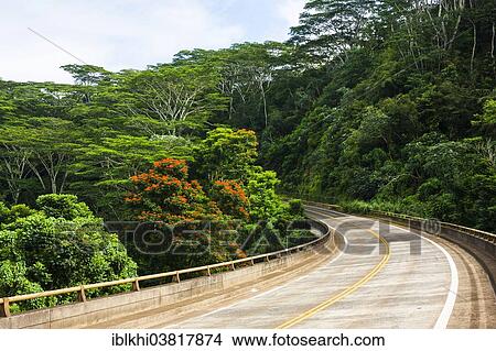 "Road from Kilauea to Princeville, Kauai, Hawaii, USA" View Large Photo Image Picture - "Road from Kilauea to Princeville, Kauai, Hawaii, USA". Fotosearch