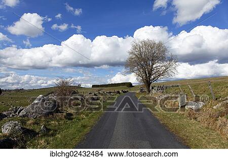 "Road near Nasbinals, Aubrac, Lozere, Languedoc-Roussillon, France, Europe" View Large Photo Image Picture - "Road near Nasbinals, Aubrac, Lozere, Languedoc-Roussillon, France, Europe". Fotosearch