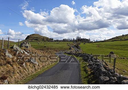 "Road near Nasbinals, Aubrac, Lozere, Languedoc-Roussillon, France, Europe" View Large Photo Image Stock Photography - "Road near Nasbinals, Aubrac, Lozere, Languedoc-Roussillon, France, Europe". Fotosearch