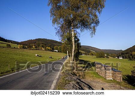 Road near Niedersorpe in the Sorpetal valley, Sauerland, North Rhine-Westphalia, Germany, Europe View Large Photo Image Stock Photo - Road near Niedersorpe in the Sorpetal valley, Sauerland, North Rhine-Westphalia, Germany, Europe. Fotosearch