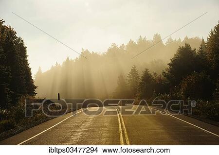 "Road through the Canadian autumnal forest early in the morning, morning mist, Algonquin Provincial Park, Ontario Province, Canada, North America" View Large Photo Image Picture - "Road through the Canadian autumnal forest early in the morning, morning mist, Algonquin Provincial Park, Ontario Province, Canada, North America". Fotosearch