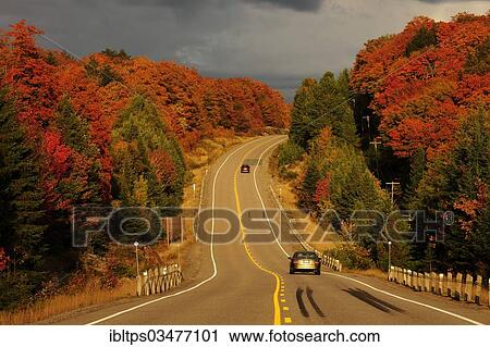 "Road through the colourful autumnal Canadian forest, Algonquin Provincial Park, Ontario Province, Canada, North America" View Large Photo Image Stock Image - "Road through the colourful autumnal Canadian forest, Algonquin Provincial Park, Ontario Province, Canada, North America". Fotosearch