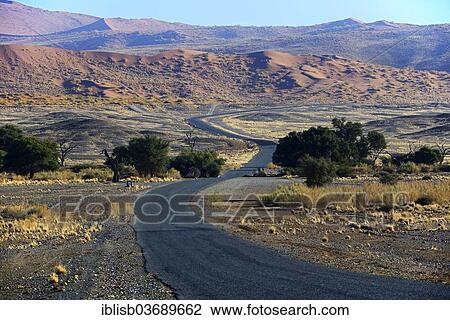 Stock Image - "Road through the Sossusvlei salt pan, Sossusvlei, Namib Desert, Namib Naukluft Park, Namibia, Africa". Fotosearch
