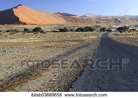"Road through the Sossusvlei salt pan, Sossusvlei, Namib Desert, Namib Naukluft Park, Namibia, Africa" View Large Photo Image Stock Photo - "Road through the Sossusvlei salt pan, Sossusvlei, Namib Desert, Namib Naukluft Park, Namibia, Africa". Fotosearch