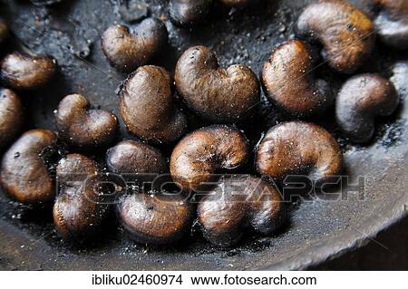 Picture - Roasted cashew nuts. Fotosearch
