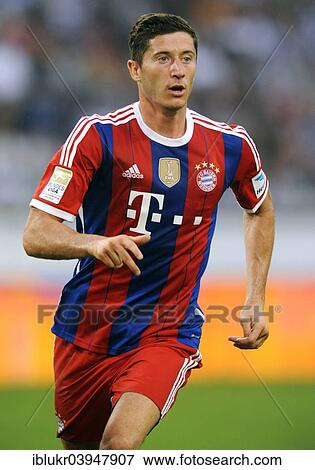 "Robert Lewandowski, FC Bayern Munich, at a charity match, MSV Duisburg 1 vs FC Bayern Munich 1, Schauinsland Arena, Duisburg, Ruhr Area, North Rhine-Westphalia, Germany, Europe" View Large Photo Image Stock Photo - "Robert Lewandowski, FC Bayern Munich, at a charity match, MSV Duisburg 1 vs FC Bayern Munich 1, Schauinsland Arena, Duisburg, Ruhr Area, North Rhine-Westphalia, Germany, Europe". Fotosearch