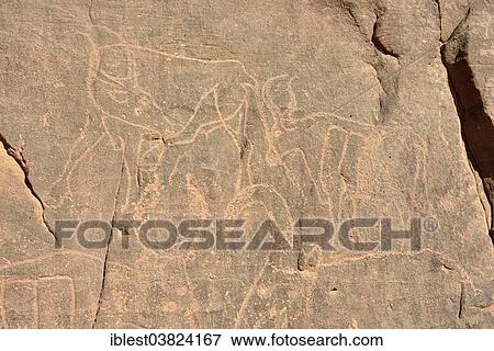 "Rock engraving of a cow, neolithic rock art, Tadrart region, Tassili n'Ajjer National Park, Unesco World Heritage Site, Algeria, Sahara, North Africa, Africa" View Large Photo Image Stock Photo - "Rock engraving of a cow, neolithic rock art, Tadrart region, Tassili n'Ajjer National Park, Unesco World Heritage Site, Algeria, Sahara, North Africa, Africa". Fotosearch