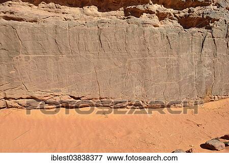 "Rock engraving of cows, neolithic rock art, Tadrart, Tassili N´Ajjer National Park, Unesco World Heritage Site, Algeria, Sahara, North Africa, Africa" View Large Photo Image Stock Photo - "Rock engraving of cows, neolithic rock art, Tadrart, Tassili N´Ajjer National Park, Unesco World Heritage Site, Algeria, Sahara, North Africa, Africa". Fotosearch