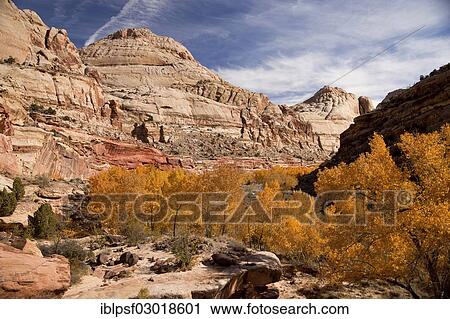 "Rock formation, Capitol Reef National Park, Capitol-Reef-Nationalpark, Utah, United States, North America" View Large Photo Image Stock Image - "Rock formation, Capitol Reef National Park, Capitol-Reef-Nationalpark, Utah, United States, North America". Fotosearch