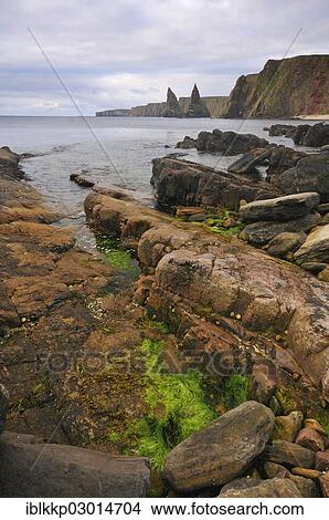 "Rock formation off the coastal cliffs, Duncansby Head, John o' Groats, Highlands, Scotland, United Kingdom, Europe" View Large Photo Image Picture - "Rock formation off the coastal cliffs, Duncansby Head, John o' Groats, Highlands, Scotland, United Kingdom, Europe". Fotosearch