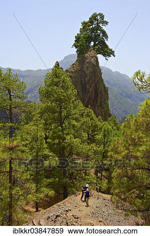 "Rock formation Roque del Huso in the Parque Nacional de la Caldera de Taburiente National Park, La Palma, Canary Islands, Spain, Europe" View Large Photo Image Stock Photo - "Rock formation Roque del Huso in the Parque Nacional de la Caldera de Taburiente National Park, La Palma, Canary Islands, Spain, Europe". Fotosearch