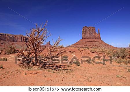 "Rock formations, desert, Monument Valley Navajo Tribal Park, Utah, United States, North America" View Large Photo Image Stock Photography - "Rock formations, desert, Monument Valley Navajo Tribal Park, Utah, United States, North America". Fotosearch