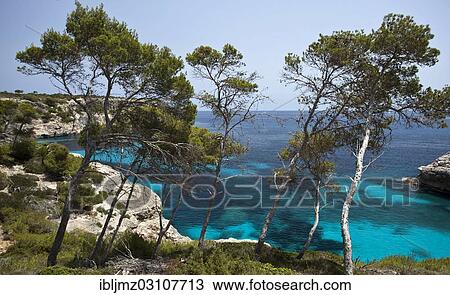 "Rock-lined bay of Cala S'Almunia, Santanyi, Mallorca, Majorca, Balearic Islands, Spain, Europe" View Large Photo Image Stock Image - "Rock-lined bay of Cala S'Almunia, Santanyi, Mallorca, Majorca, Balearic Islands, Spain, Europe". Fotosearch