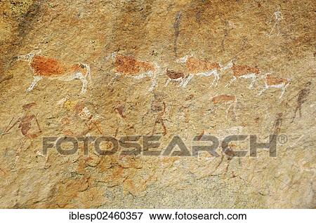"Rock painting of humans and animals in the Tsisab Gorge, Brandberg, Damaraland, Kunene Region, Namibia, Africa" View Large Photo Image Stock Photo - "Rock painting of humans and animals in the Tsisab Gorge, Brandberg, Damaraland, Kunene Region, Namibia, Africa". Fotosearch