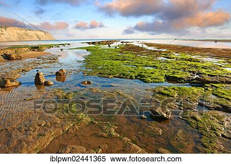 "Rock pools on the beach of the historic fishing village of Robin Hood's Bay, near Whitby, North Yorkshire, England, United Kingdom, Europe" View Large Photo Image Stock Photography - "Rock pools on the beach of the historic fishing village of Robin Hood's Bay, near Whitby, North Yorkshire, England, United Kingdom, Europe". Fotosearch