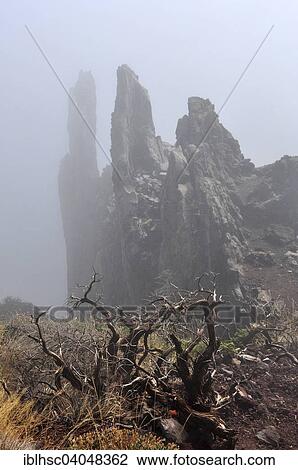 "Rock wall, Pared de Roberto, Caldera de Taburiente National Park, La Palma, Canary Islands, Spain, Europe" View Large Photo Image Stock Image - "Rock wall, Pared de Roberto, Caldera de Taburiente National Park, La Palma, Canary Islands, Spain, Europe". Fotosearch