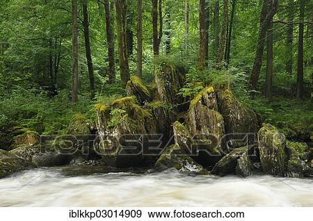 "Rocks at the River Llugwy or Afon Llugwy, Betws-y-Coed, Wales, United Kingdom, Europe" View Large Photo Image Stock Photo - "Rocks at the River Llugwy or Afon Llugwy, Betws-y-Coed, Wales, United Kingdom, Europe". Fotosearch