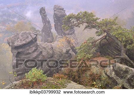 "Rocks in the Elbe Sandstone Mountains in fog in autumn, Saxon Switzerland, Bad Schandau, Saxony, Germany, Europe" View Large Photo Image Stock Image - "Rocks in the Elbe Sandstone Mountains in fog in autumn, Saxon Switzerland, Bad Schandau, Saxony, Germany, Europe". Fotosearch