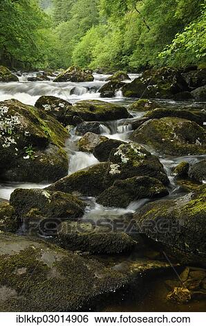 "Rocks in the River Llugwy or Afon Llugwy, Betws-y-Coed, Wales, United Kingdom, Europe" View Large Photo Image Stock Photograph - "Rocks in the River Llugwy or Afon Llugwy, Betws-y-Coed, Wales, United Kingdom, Europe". Fotosearch