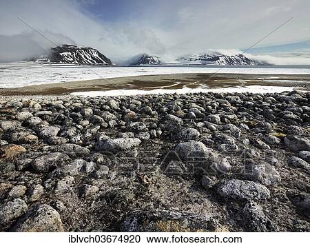 "Rocky coast at Spitsbergen, Spitsbergen Island, Svalbard Archipelago, Svalbard and Jan Mayen, Norway, Europe" View Large Photo Image Stock Image - "Rocky coast at Spitsbergen, Spitsbergen Island, Svalbard Archipelago, Svalbard and Jan Mayen, Norway, Europe". Fotosearch