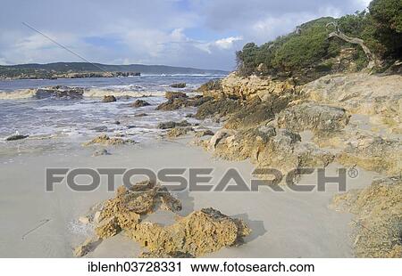 "Rocky coast in Hanson Bay, Kangaroo Island, South Australia, Australia, Oceania" View Large Photo Image Stock Image - "Rocky coast in Hanson Bay, Kangaroo Island, South Australia, Australia, Oceania". Fotosearch
