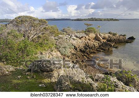 "Rocky coast in Pelican Lagoon, Kangaroo Island, South Australia, Australia, Oceania" View Large Photo Image Stock Photo - "Rocky coast in Pelican Lagoon, Kangaroo Island, South Australia, Australia, Oceania". Fotosearch
