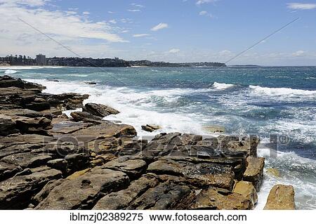 "Rocky coast near Manly Beach, North Sydney, New South Wales, NSW, Pacific Ocean, Australia, Oceania" View Large Photo Image Stock Photography - "Rocky coast near Manly Beach, North Sydney, New South Wales, NSW, Pacific Ocean, Australia, Oceania". Fotosearch