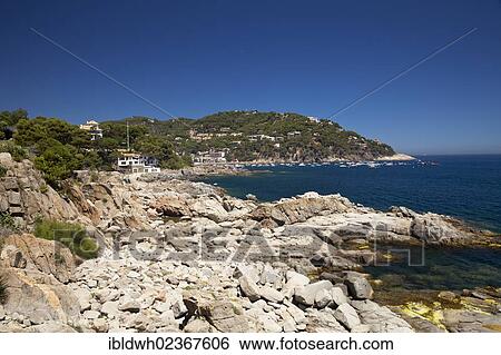 "Rocky coast near the Bay of Llafranc, Calella de Palafrugell, Costa Brava, Catalonia, Spain, Europe, PublicGround, Europe" View Large Photo Image Stock Photograph - "Rocky coast near the Bay of Llafranc, Calella de Palafrugell, Costa Brava, Catalonia, Spain, Europe, PublicGround, Europe". Fotosearch