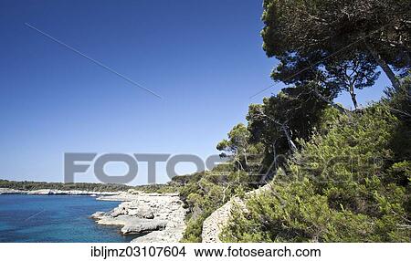 "Rocky coast, Parc Natural de Mondrago, Mallorca, Majorca, Balearic Islands, Spain, Europe" View Large Photo Image Picture - "Rocky coast, Parc Natural de Mondrago, Mallorca, Majorca, Balearic Islands, Spain, Europe". Fotosearch