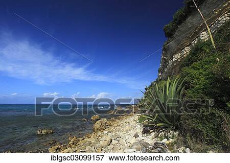 "Rocky coast, Pineapple Beach, Pineapple Beach, Antigua, Antigua and Barbuda, North America" View Large Photo Image Stock Photo - "Rocky coast, Pineapple Beach, Pineapple Beach, Antigua, Antigua and Barbuda, North America". Fotosearch