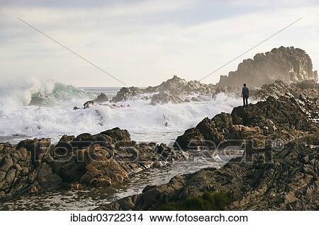 "Rocky coast, Tsitsikamma, Eastern Cape, South Africa, Africa" View Large Photo Image Picture - "Rocky coast, Tsitsikamma, Eastern Cape, South Africa, Africa". Fotosearch