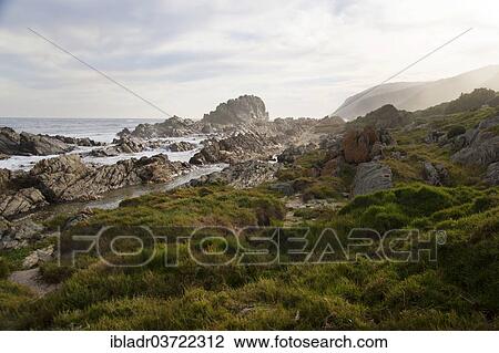 "Rocky coast, Tsitsikamma, Eastern Cape, South Africa, Africa" View Large Photo Image Stock Image - "Rocky coast, Tsitsikamma, Eastern Cape, South Africa, Africa". Fotosearch