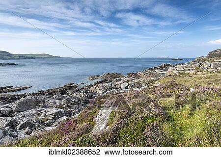 "Rocky coastal landscape in Clashnessie Bay at the Atlantic Ocean, county of Sutherland, Scotland, United Kingdom, Europe" View Large Photo Image Stock Image - "Rocky coastal landscape in Clashnessie Bay at the Atlantic Ocean, county of Sutherland, Scotland, United Kingdom, Europe". Fotosearch
