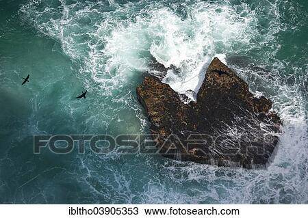 "Rocky coastline, Cape Point, South Africa, Africa" View Large Photo Image Stock Image - "Rocky coastline, Cape Point, South Africa, Africa". Fotosearch