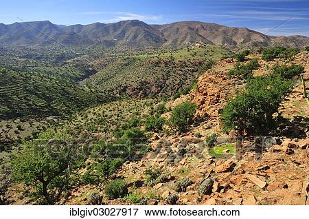 "Rocky hills with Argan Trees (Argania spinosa), Anti-Atlas, Souss-Massa-Draa region, Morocco, Africa" View Large Photo Image Stock Photo - "Rocky hills with Argan Trees (Argania spinosa), Anti-Atlas, Souss-Massa-Draa region, Morocco, Africa". Fotosearch