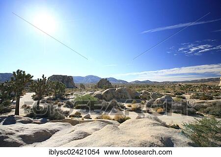 Picture - Rocky landscape in Joshua Tree National Park, Mojave Desert, California, USA. Fotosearch