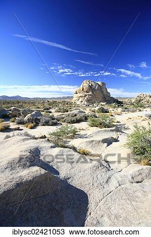 Rocky landscape in Joshua Tree National Park, Mojave Desert, California, USA View Large Photo Image Stock Image - Rocky landscape in Joshua Tree National Park, Mojave Desert, California, USA. Fotosearch