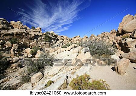 Rocky landscape in Joshua Tree National Park, Mojave Desert, California, USA View Large Photo Image Stock Image - Rocky landscape in Joshua Tree National Park, Mojave Desert, California, USA. Fotosearch