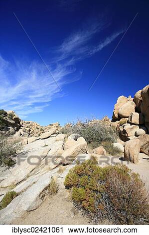 Rocky landscape in Joshua Tree National Park, Mojave Desert, California, USA View Large Photo Image Stock Image - Rocky landscape in Joshua Tree National Park, Mojave Desert, California, USA. Fotosearch