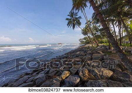 "Rocky section of the beach near Maggona, Kapugoda Region, Western Province, Sri Lanka, Asia" View Large Photo Image Stock Photo - "Rocky section of the beach near Maggona, Kapugoda Region, Western Province, Sri Lanka, Asia". Fotosearch