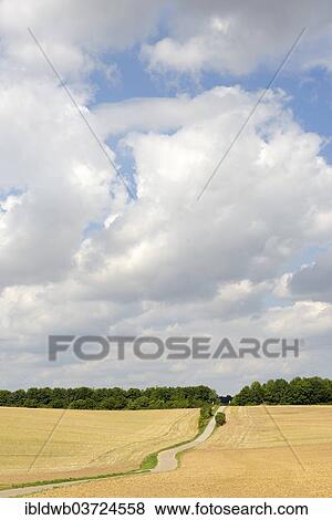 "Roman Road, Hepberg, Upper Bavaria, Bavaria, Germany, Europe" View Large Photo Image Stock Photo - "Roman Road, Hepberg, Upper Bavaria, Bavaria, Germany, Europe". Fotosearch